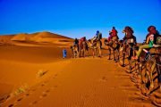 day trip merzouga