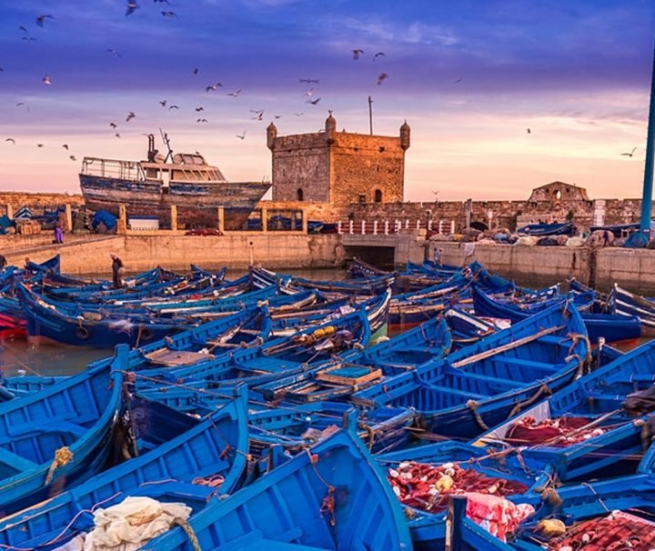 excursion essaouira